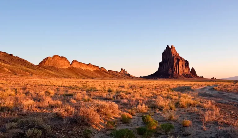 nm01