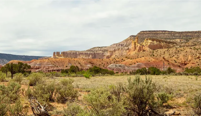 nm03